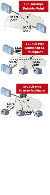 Telehouse Carrier Ethernet