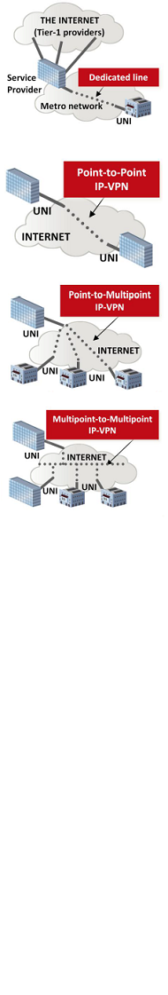 Telehouse IP services
